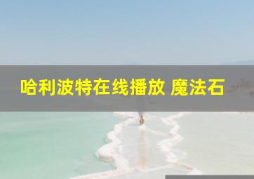 哈利波特在线播放 魔法石